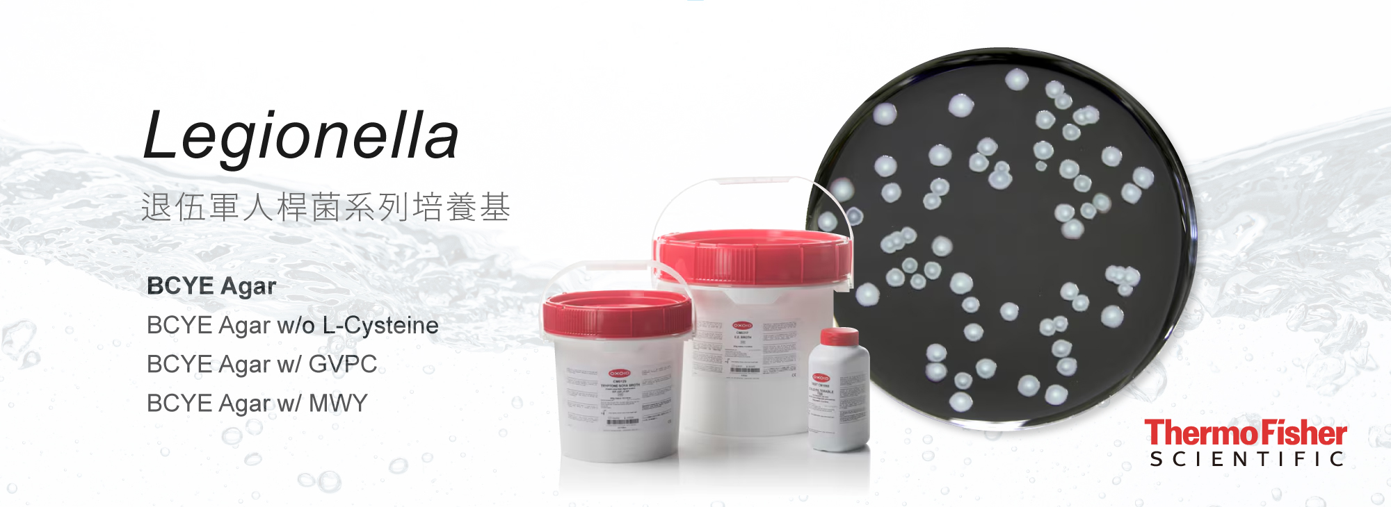 Legionella 退伍軍人桿菌系列培養基