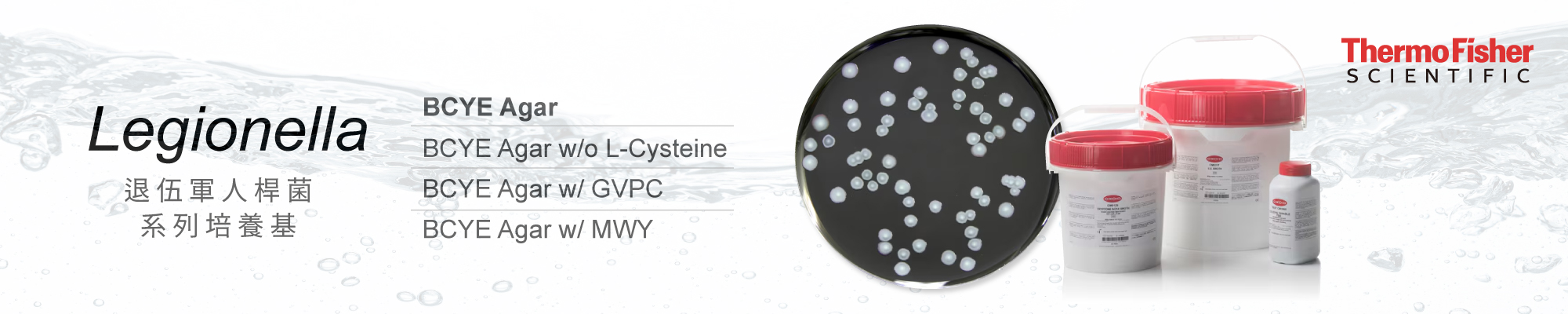 Legionella 退伍軍人桿菌系列培養基