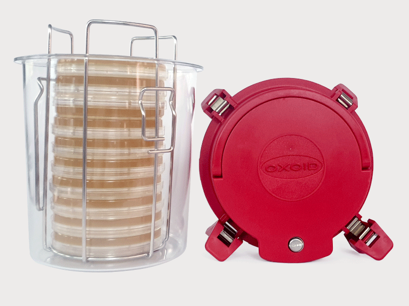 ThermoFisher 厭氧缸2.5L