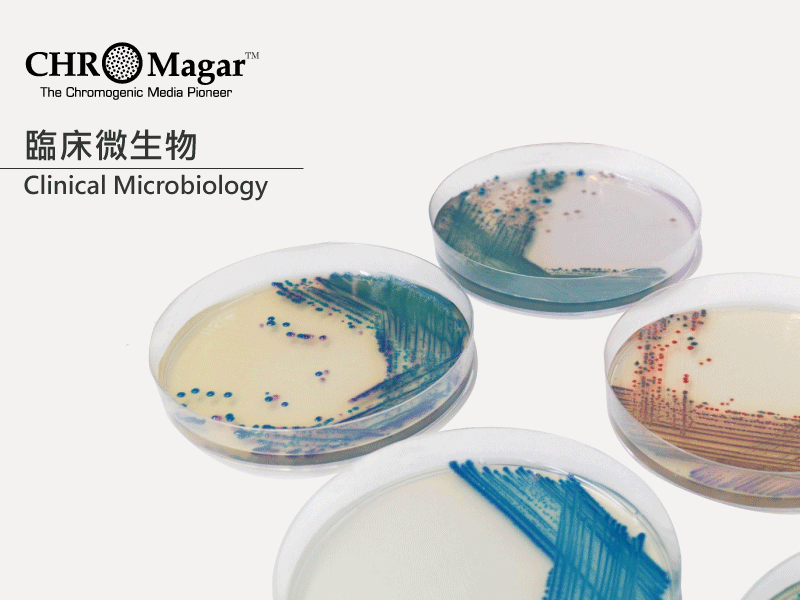 臨床微生物